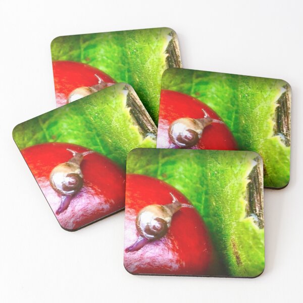 Item preview, Baby Snail - Baby snail on chestnut designed and sold by IdAdArt-gzapf.