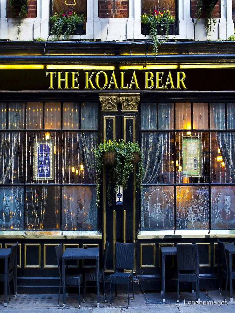 Koala Bear Pub Scarf