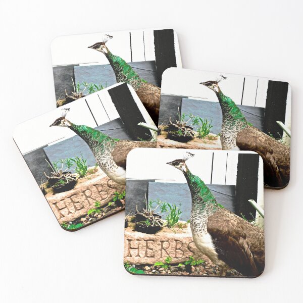 Item preview, Peahen and chicks designed and sold by Shulie1.