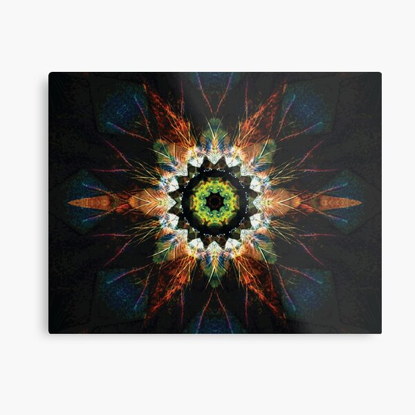 Fionn Metal Print
