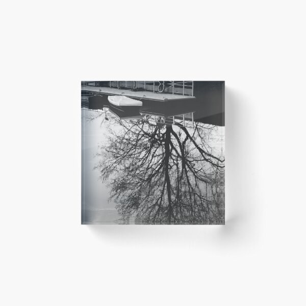 Item preview, Bare tree reflection in still water lake designed and sold by CarolinaReina.
