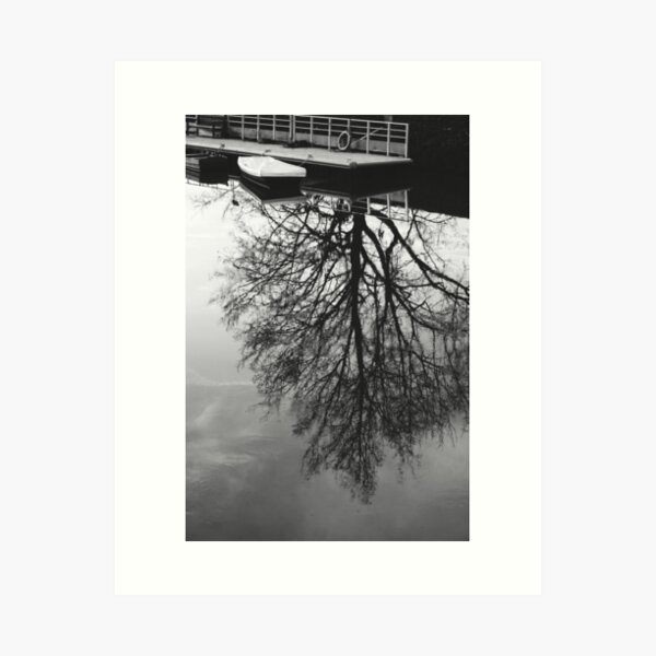Item preview, Bare tree reflection in still water lake designed and sold by CarolinaReina.