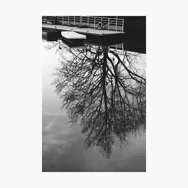 Item preview, Bare tree reflection in still water lake designed and sold by CarolinaReina.