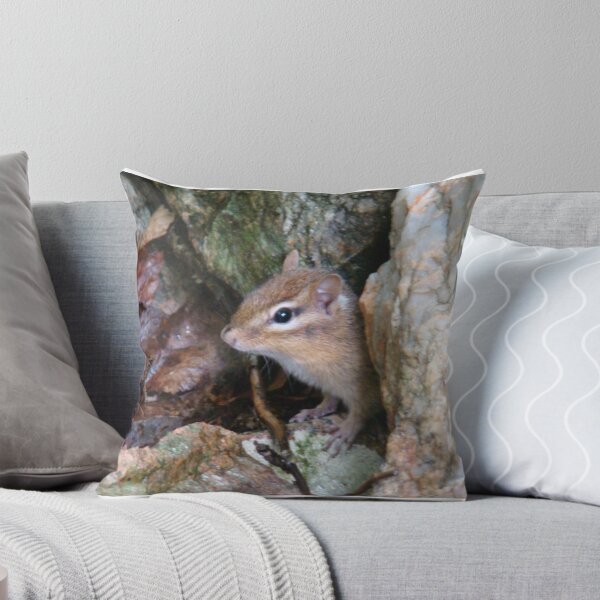 Item preview, Squirrel1 designed and sold by cozybee.