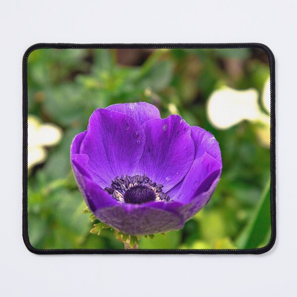 Item preview, Purple Tulip Flower Amidst Greenery designed and sold by SafariByMarisa.