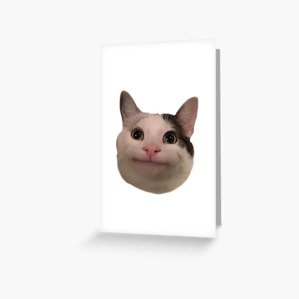 Meme Cat Stickers Pop Cat Bingus Big Floppa Polite Cat 