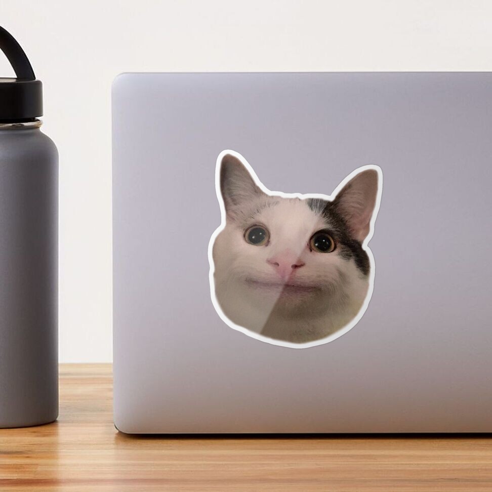 beluga cat meme  Sticker for Sale by alicjadesigns