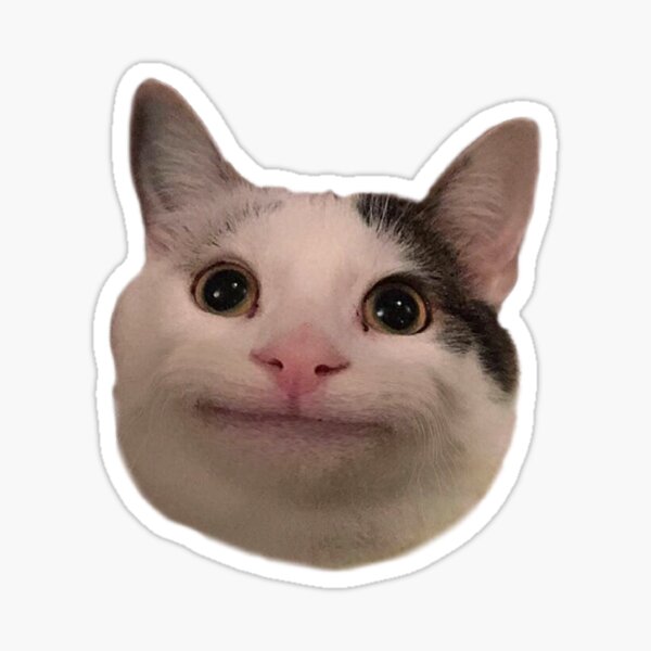 Beluga cat, Beluga Cat Meme, Meme Sticker for Sale by graphic-genie