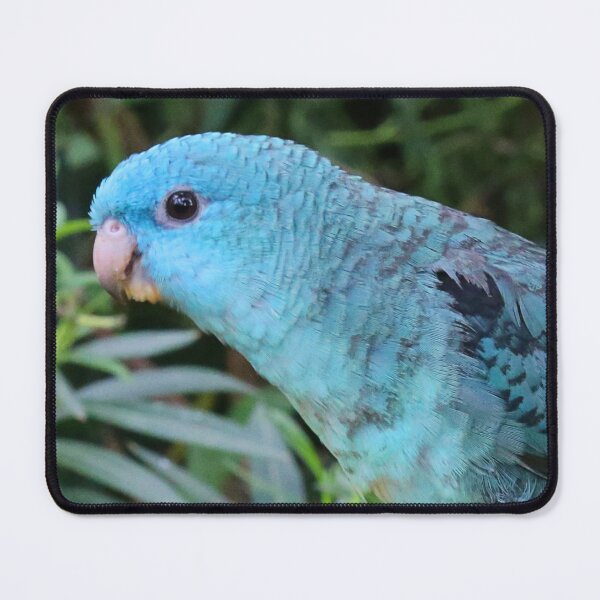 Item preview, Blue Lineolated Parakeet on the Big Apple designed and sold by walkswithnature.
