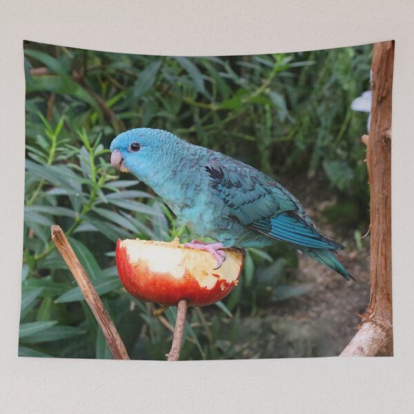 Item preview, Blue Lineolated Parakeet on the Big Apple designed and sold by walkswithnature.