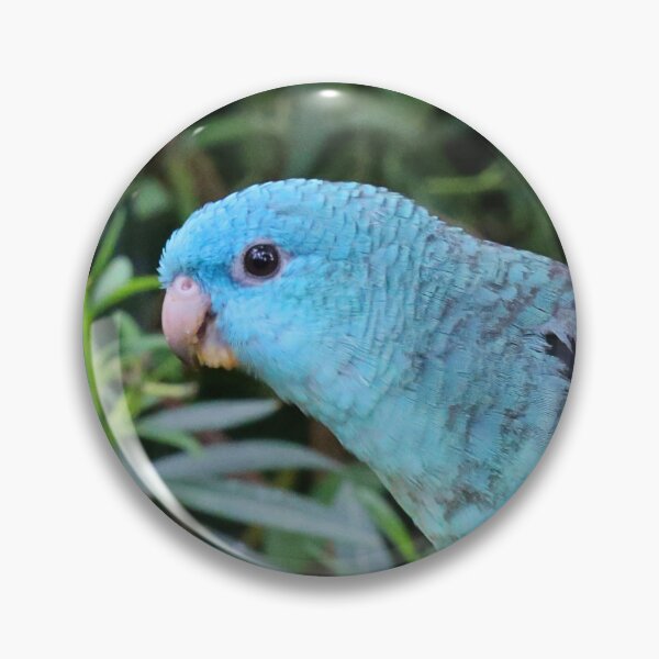Item preview, Blue Lineolated Parakeet on the Big Apple designed and sold by walkswithnature.