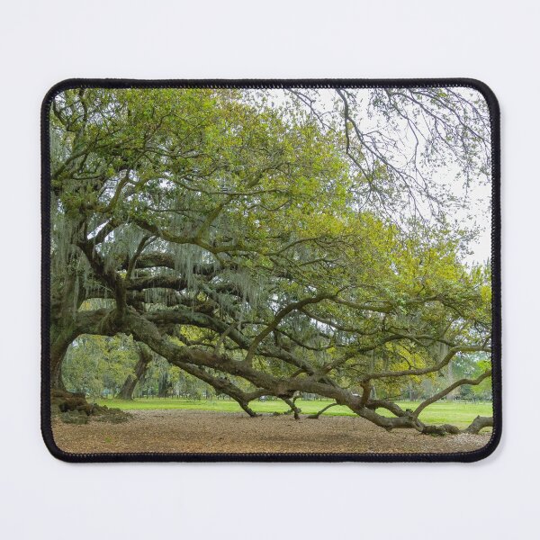 Item preview, Tree of Life, New Orleans, Louisiana designed and sold by SafariByMarisa.