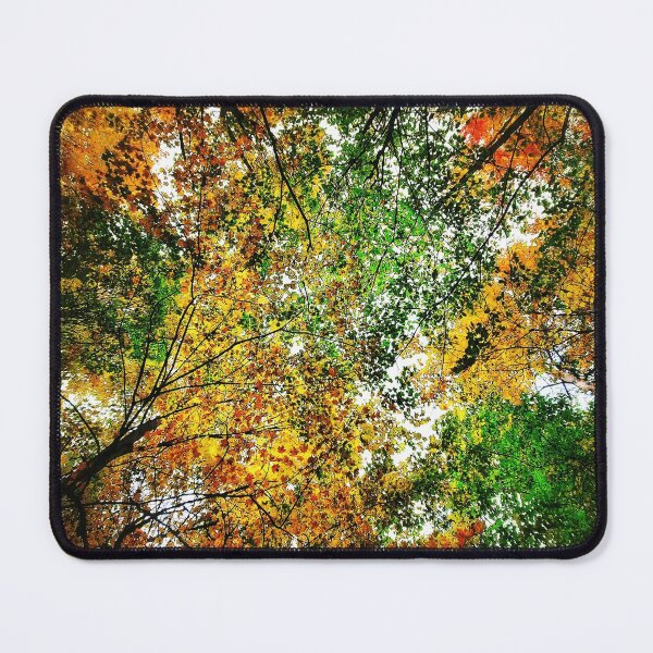 Item preview, Vibrant Autumn Forest Tree Colours designed and sold by SarahJisri.