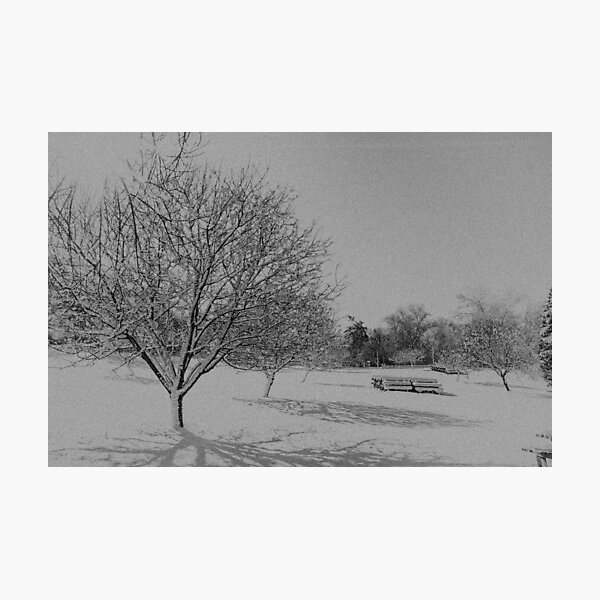 Item preview, Park in Wintertime designed and sold by Ruth Curtis.
