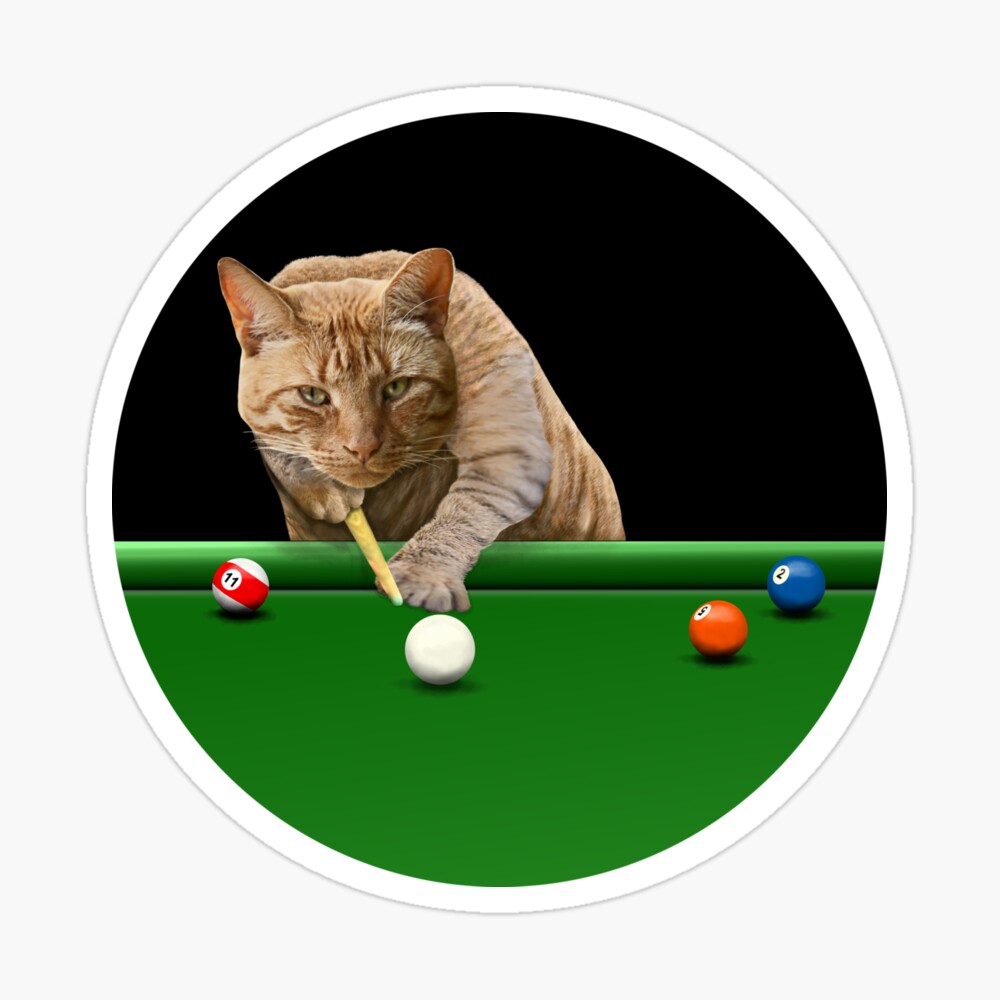 POOL CAT - 8 BALL POOL