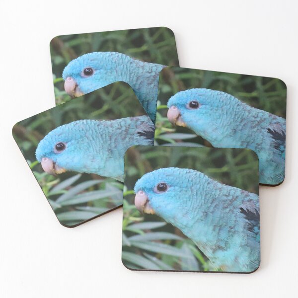 Item preview, Blue Lineolated Parakeet on the Big Apple designed and sold by walkswithnature.