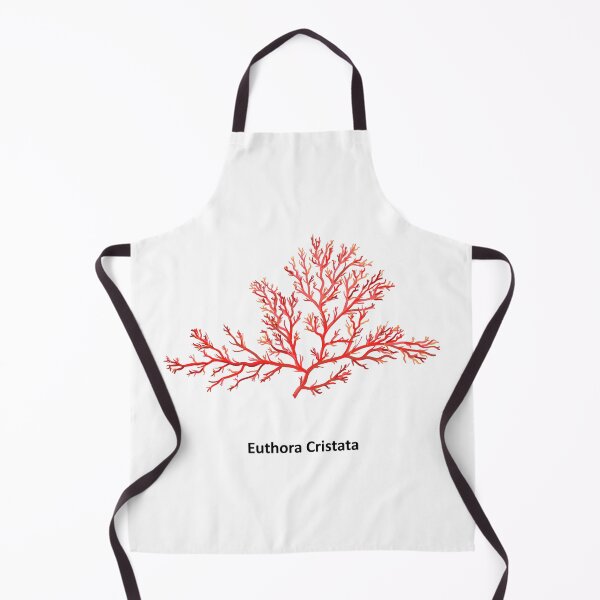 Item preview, Euthora cristata - a genus of thalloid red algae. Hand drawn vector illustration designed and sold by Familyshmot.