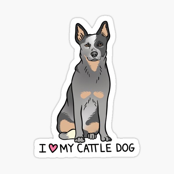 Australian Cattle Dog - Blue Heeler Sticker