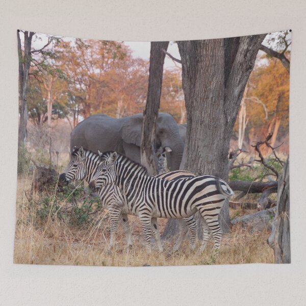 Item preview, Zebras and Elephants together in Moremi Game Reserve, Botswana, Africa designed and sold by SafariByMarisa.