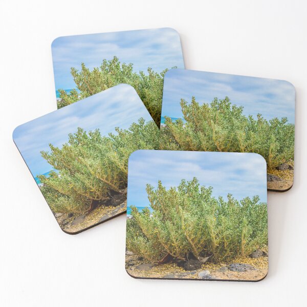 Item preview, Coastal tufts designed and sold by Kim Phillip Brosien.