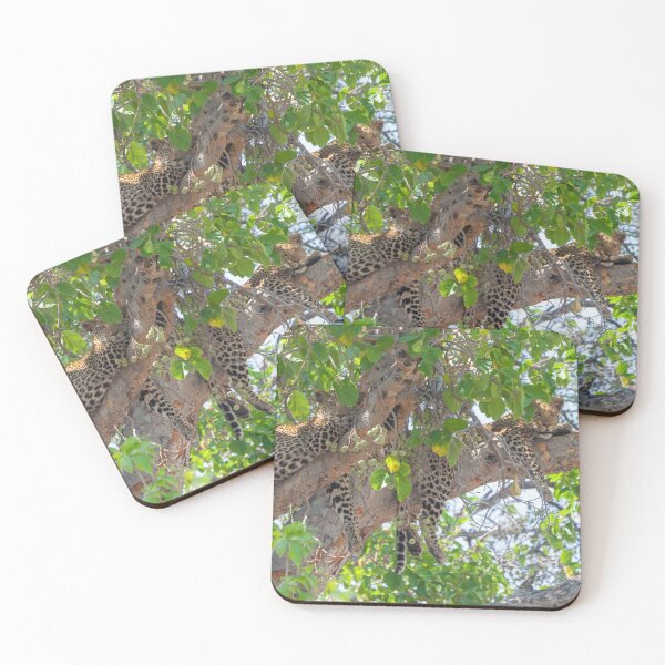 Item preview, Two leopard cubs lounging in a tree designed and sold by SafariByMarisa.