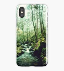 The Secrets of a Flowing Creative Mind iPhone Case