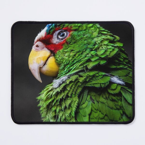 Item preview, Green Parrot Cute Funny Animal Macro Photography designed and sold by ehlphotography.