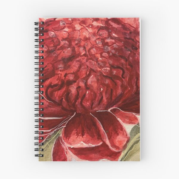 Item preview, Designer Watercolour Waratahs ~ Stunning Australian Flower designed and sold by Violet Grant.