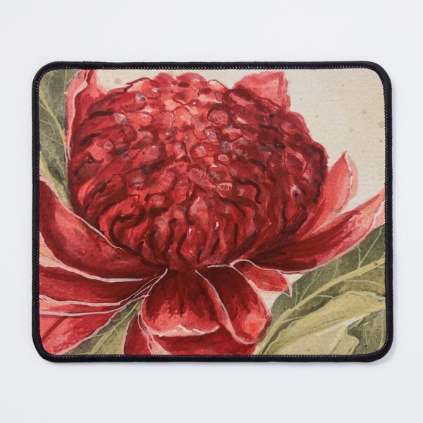 Item preview, Designer Watercolour Waratahs ~ Stunning Australian Flower designed and sold by Violet Grant.