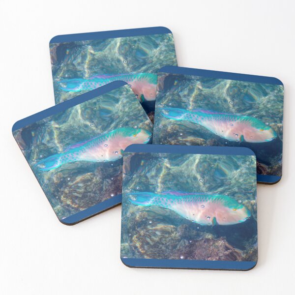 Item preview, Bluechin Parrotfish in the Galapagos Islands, Ecuador designed and sold by SafariByMarisa.