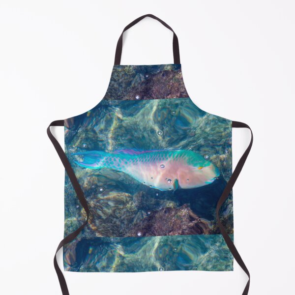 Item preview, Bluechin Parrotfish in the Galapagos Islands, Ecuador designed and sold by SafariByMarisa.
