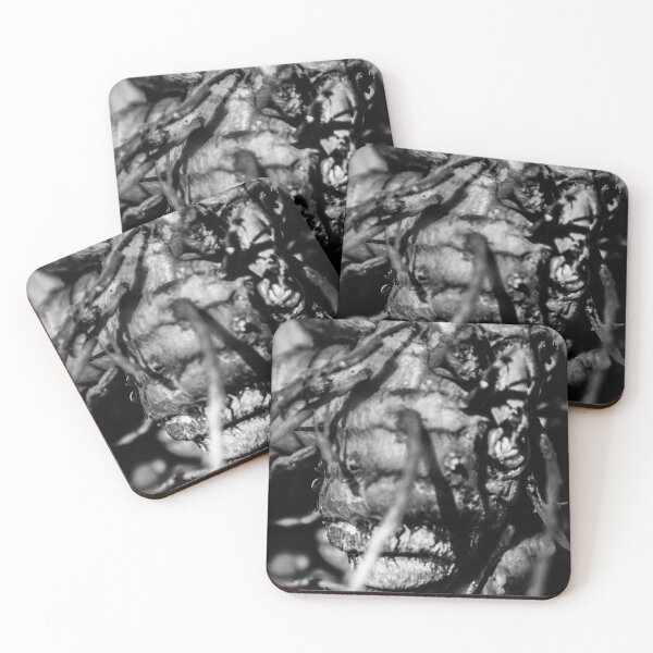 Item preview, turmeric root. pareidolia designed and sold by Nino rocha fotografia.