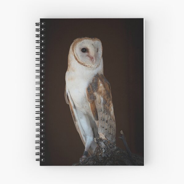 Item preview, Barn Owl designed and sold by Gary Lengyel.