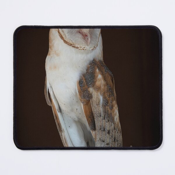 Item preview, Barn Owl designed and sold by Gary Lengyel.
