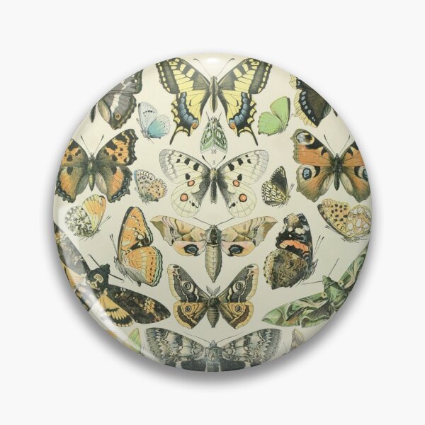 Item preview, Adolphe Millot Papillons A - Millot Butterflies Enhanced Reproduction designed and sold by molamode.