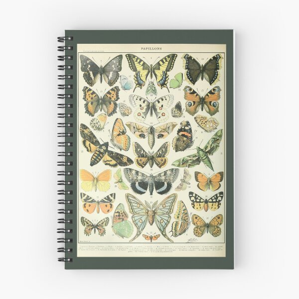 Item preview, Adolphe Millot Papillons A - Millot Butterflies Enhanced Reproduction designed and sold by molamode.