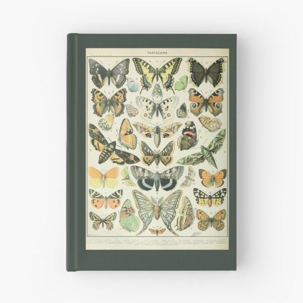 Item preview, Adolphe Millot Papillons A - Millot Butterflies Enhanced Reproduction designed and sold by molamode.