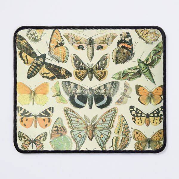 Item preview, Adolphe Millot Papillons A - Millot Butterflies Enhanced Reproduction designed and sold by molamode.