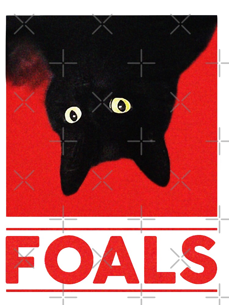 Foals cat t shirt hotsell