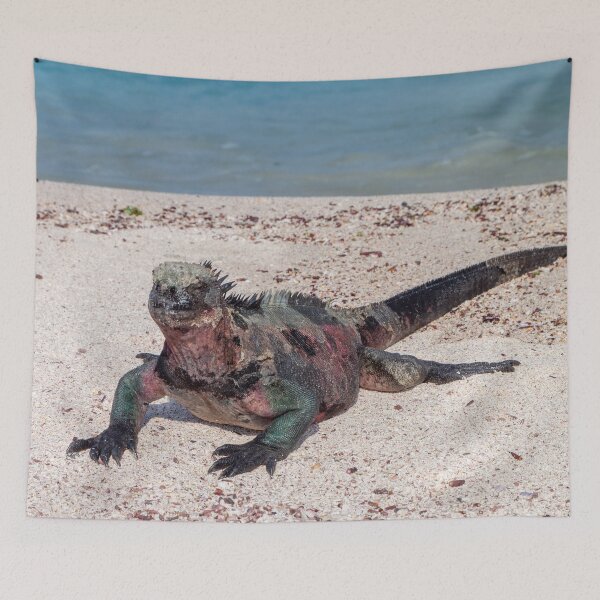 Item preview, Marine Iguana, Galapagos Islands, Ecuador designed and sold by SafariByMarisa.