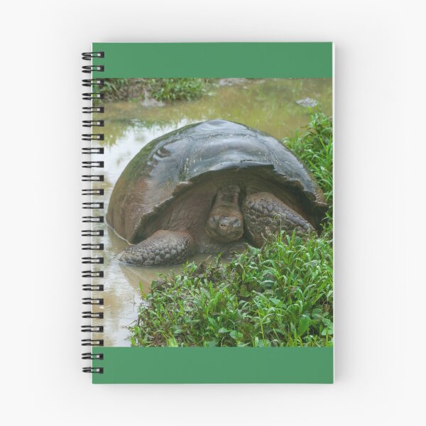 Item preview, Galapagos Islands Giant Tortoise Turtle designed and sold by SafariByMarisa.