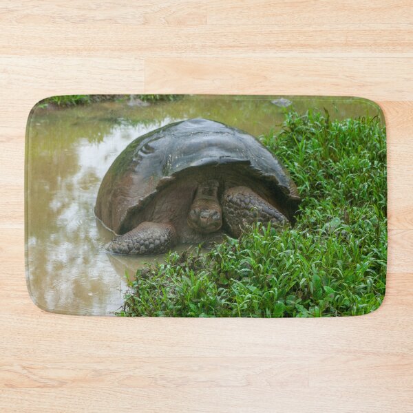 Item preview, Galapagos Islands Giant Tortoise Turtle designed and sold by SafariByMarisa.