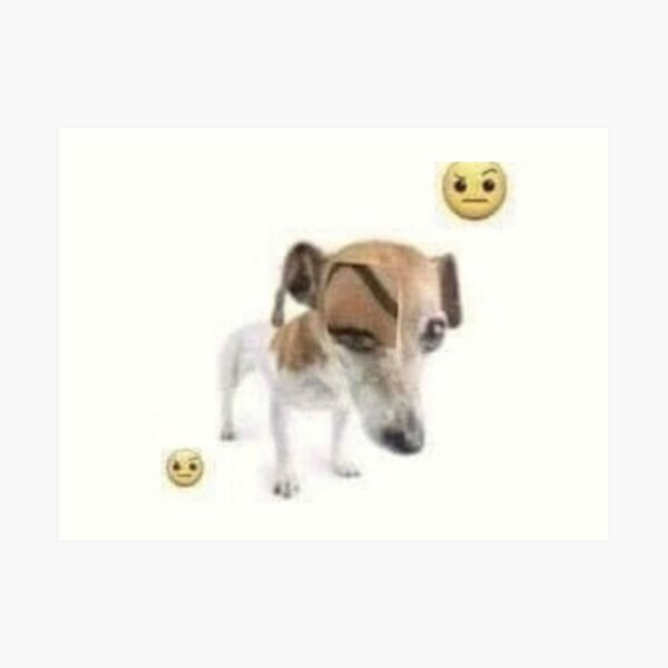 "? eyebrow raise dog meme" Art Print for Sale by papazoinks Redbubble