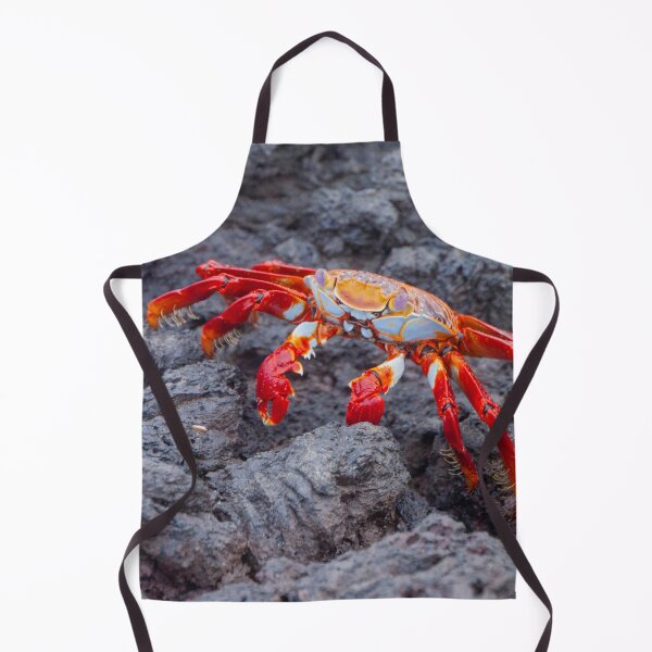 Item preview, Galapagos Sally Lightfoot Crab designed and sold by SafariByMarisa.