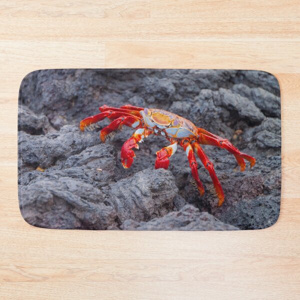 Item preview, Galapagos Sally Lightfoot Crab designed and sold by SafariByMarisa.