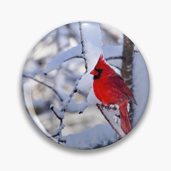Item preview, Red Cardinal After the Snow designed and sold by Thymely.