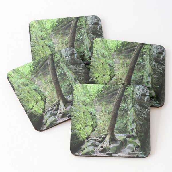 Item preview, Canyon Path designed and sold by Lens2Canvas.