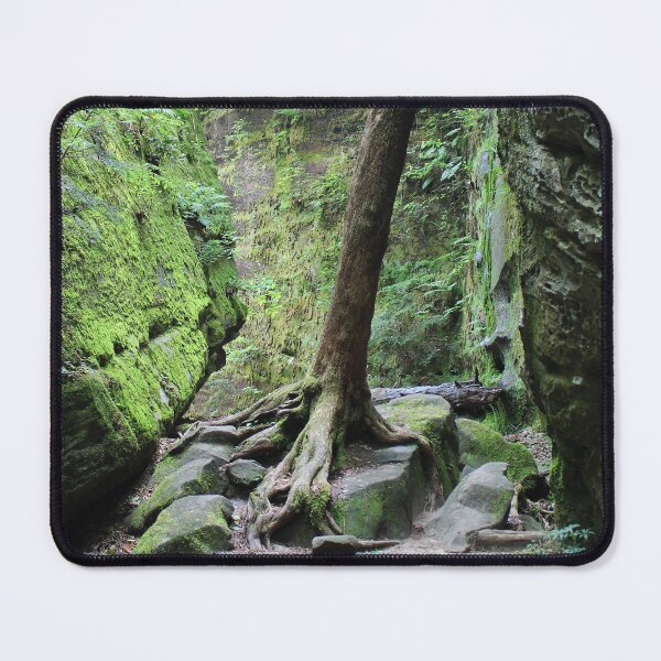 Item preview, Canyon Path designed and sold by Lens2Canvas.