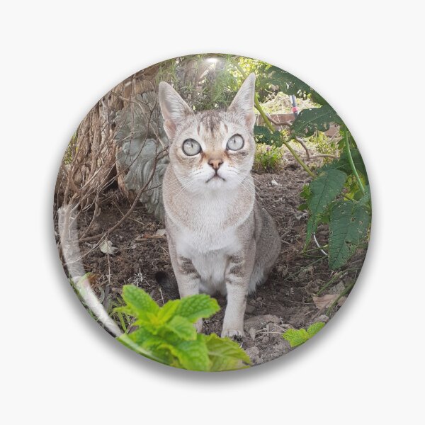 Item preview, Woodland Speedball  designed and sold by Cat-yawns.
