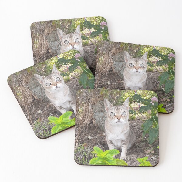 Item preview, Woodland Speedball  designed and sold by Cat-yawns.